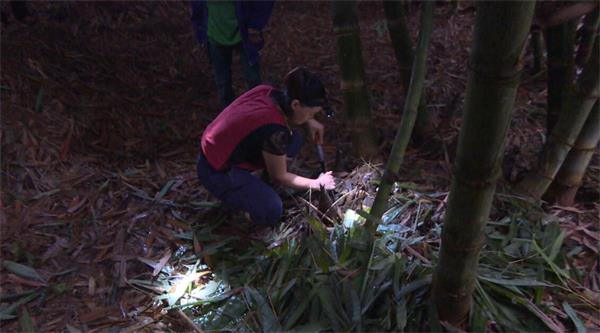 图片其版权均归原作者所有，未经许可严禁转载或建立镜像，如需转载，请与作者或本站联系