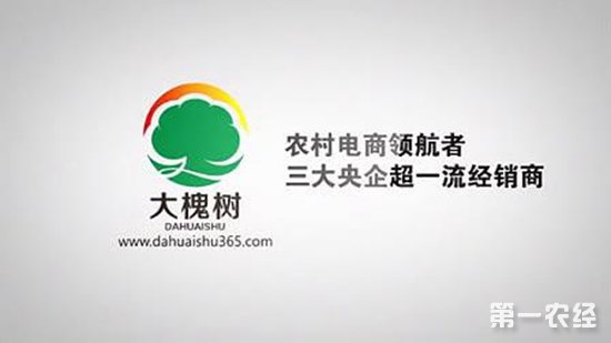 “上行+下行”创新举措成就大槐树的农村电商之路