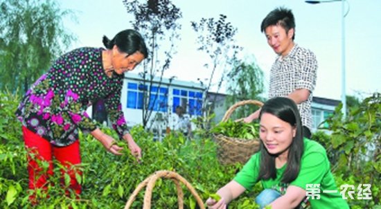 李珊珊——一个80后农村电商达人的致富路