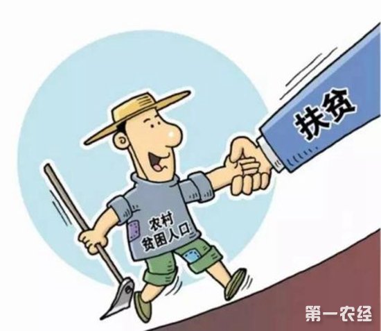 澄城县“党建+电商”形成互促共赢发展态势