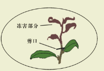 image005.png