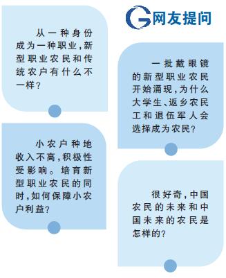 新型职业农民和传统农户有何不同